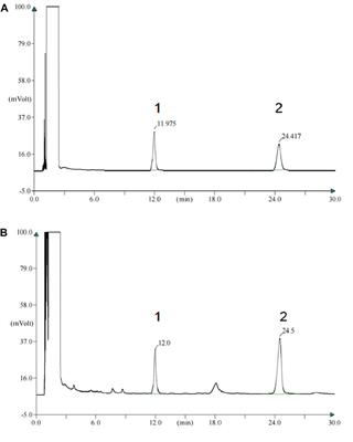 Integrating RNA-sequencing and network analysis to explore the mechanism of topical Pien Tze Huang treatment on diabetic wounds